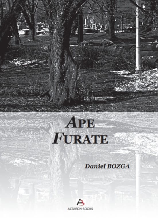 DANIEL BOZGA APE FURATE